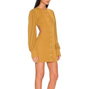 Lovers + Friends Open Back Mini Dress